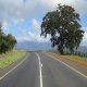 Rehabilitation of Korogwe-Same Road, Lot 1, Tanzania